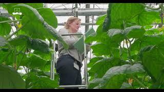 Autonomous Greenhouses AGROS validation trial 2023 Autonomous controls