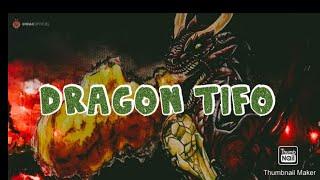 Tifo Dragon by WINNERS 05 CASABLANCA