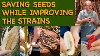 Saving Seed While Improving Vegetable Strains -  - FHC Q & A