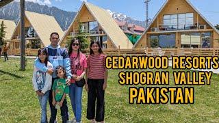 Cedarwood Resort shogran pakistan Cedarwood Hotel Shogran honey bani vlogs