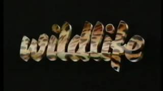 Roadshow Home Video Australia Pre Show Promo Early 1990s