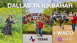 Dallas Şehir Gezisi 2 - İlkbahar Festivali  Waco  Texas Gezi Vlog