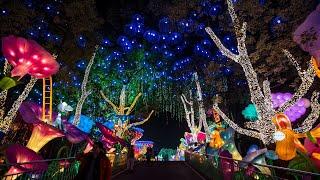 Visite nocturne du monde des lanternes 自贡彩灯大世界灯会