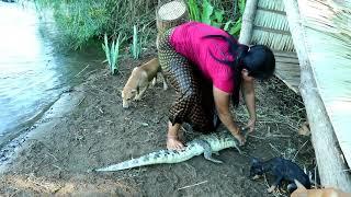 Primitive In forest one - woman finding eggs crocodile for dog - Cook eggs in jars Eating delicious
