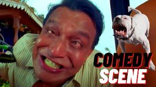 Mithun Chakraborty को अपने ही कुत्ते ने किया अटैक  Dog Biting Scene  Golmaal 3  Johny Lever