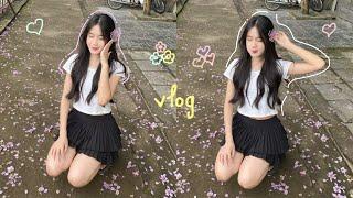 vlog mùa hoa bằng lăng🪻