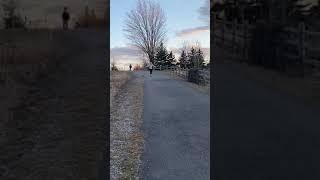 Womans Legs Split Unintentionally While Skateboarding - 1140564