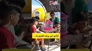 آزاد کردن پرنده پروفسور دانش در جمع بچه‌ها