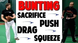 Baseball Bunting Series  How To Bunt Types  Video 3 of 3 Pro Speed Baseball