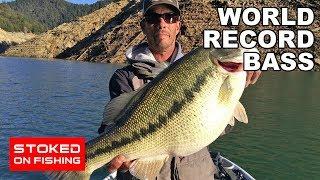 World Record Bass  Part 1