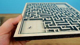 Will the Ant find a way out of the real Maze Labyrinth? Ant VS Labyrinth  English subtitles