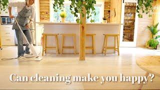 ORGANIZE TIDY UP CLEANING AND HOMEMAKING MOTIVATION  Scandish Home