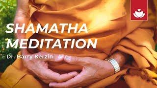 SHAMATHA SINGLE-POINTED MEDITATION with Dr. Barry Kerzin