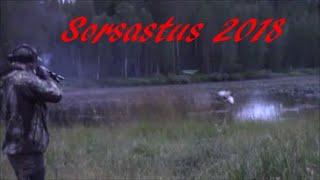 Sorsastus Waterfowl Hunting 2018 Jakso 8