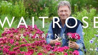 How to Feed Your Plants with Alan Titchmarsh  Waitrose & Partners