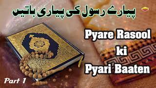 Pyare Rasool Ki Pyari Baaten   Part 1  Quran Aur Hadees