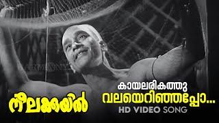 Kaayalarikathu Valayerinjappo - HD Video Song  K.Raghavan  P.Bhaskaran  Neelakuyil1954