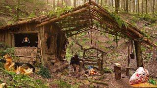 3 Year Old Bushcraft Shelter Restoration - Camp Food - Lamb Head - My Dogs - ASMR