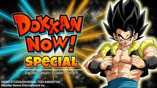 2024 DOKKAN NOW SPECIAL 9th Anniversary