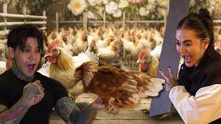 Llené su habitación con 300 gallinas.  Yeferson Cossio