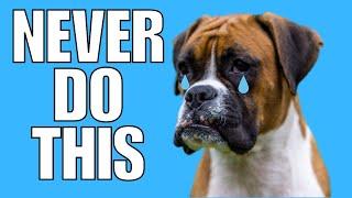 9 Things You Must NEVER Do To Your BOXER Dog EVER