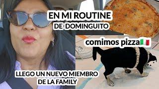 #paccychannel vlogs  es hoy es hoyroutine de dominguito rico. llego el nuevo membro de la family