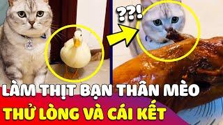 Con Sen BÀY TRÒ thử lòng chú mèo khi biến đứa bạn thân THÀNH VỊT QUAY và cái kết  Gâu Đần