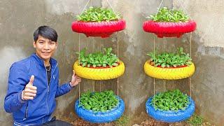 How to grow Crown Daisy in Air Hanging Vegetable Garden in Narrow Space