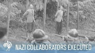 French Nazi Collaborators Are Tried & Executed  War Archives