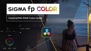 Try this for BETTER color grading results  Sigma fp  DaVinci Resolve CinemaDNG RAW Color Grade