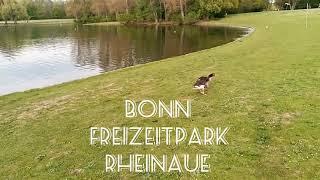 Bonn Freizeitpark Rheinaue