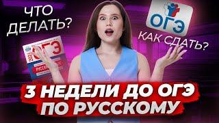 3 НЕДЕЛИ ДО ОГЭ  Что делать?  Русский язык ОГЭ