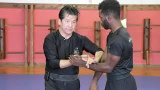 Francis Fong Instructor Association  Wing Chun Trapping Sample Video