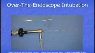 MDSvet.com Endoscope Intubation of Small Mammals - Dr. Dan Johnson