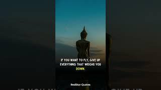 Gautam Buddha Quotes  Quotes of the Day  #ytshorts #quotes