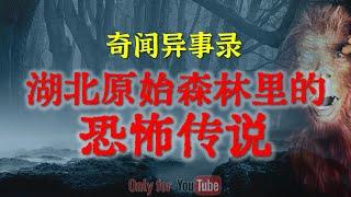 【灵异故事】12岁后还能看见不干净的东西  浙江打工的撞邪遭遇  早年间湖北山林里的恐怖传说  鬼故事  灵异诡谈  恐怖故事  解压故事  网友讲述的灵异故事「民间鬼故事--灵异电台」