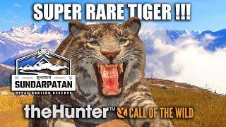 Super Rare Tiger  - Sundarpatan Nepal - theHunter Call Of The Wild