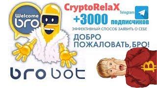 BroBot - Telegram бот. Лайки комментарии подписчики раскрутка накрутка продвижение