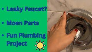 How to RemoveReinstall Moen Bathtub Faucet Parts for Cartridge Replacement