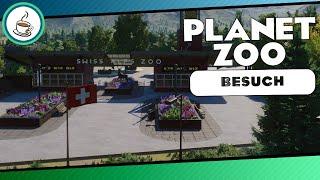 Swiss Alps Zoo von Neffect «» Planet Zoo Community Besuch   Deutsch  German