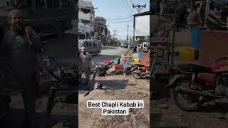 Best Chapli Kabab in The world. Location Bara Bandai Swat Pakistan