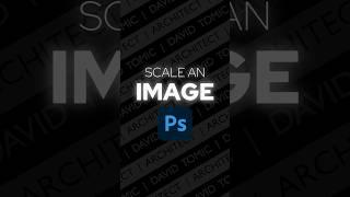 Photoshop Scaling in Action