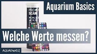 Welche Wasserwerte sollte man kennen?  Aquarium Basics