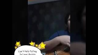 Cant help falling in Love ukulele cover