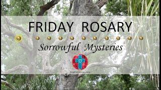 Friday Rosary • Sorrowful Mysteries of the Rosary  July 19 2024 VIRTUAL ROSARY - MEDITATION