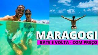 O QUE FAZER em MARAGOGI ALAGOAS ROTEIRO DE 1 DIA  Praias onde comer piscinas naturais COM PREÇO