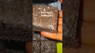 F.J.HOMEBAKES DELICIOUS TASTY CHOCOLATEY BROWNIES AVAILABLE FOR ORDER 6385 413 797 WATSAPP