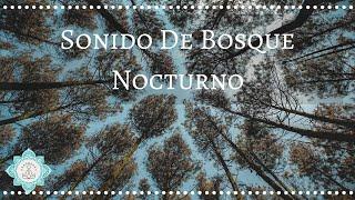  SONIDO DE BOSQUE DE NOCHE  SONIDOS BOSQUE NOCTURNO PARA DORMIR ⭐ 30 MINUTOS - Music Therapy