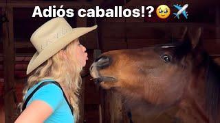 VENDO TODOS MIS CABALLOS PARA VIAJAR A MÉXICO??