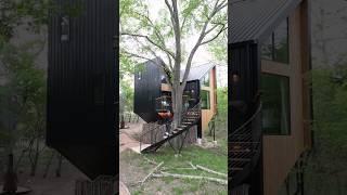 Unique Butterfly-Shaped Modern Treehouse 60 Second Airbnb Tour